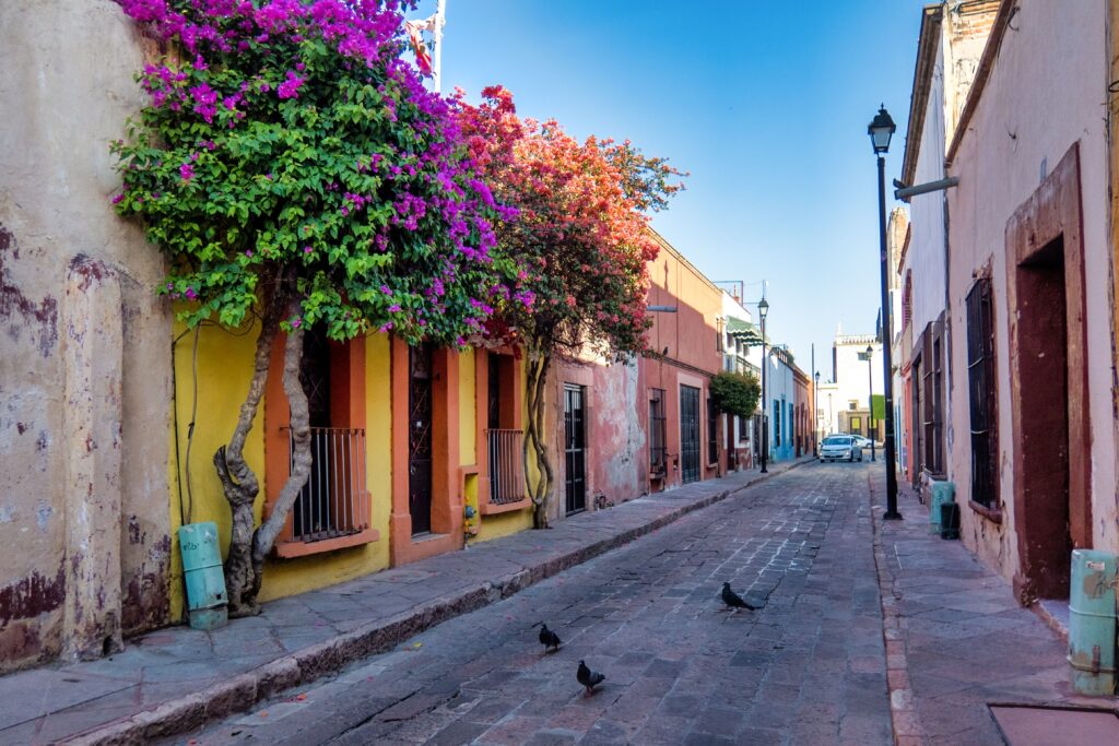 A Rustic street with windows and bougainvillea flowers in Queretaro, Mexico