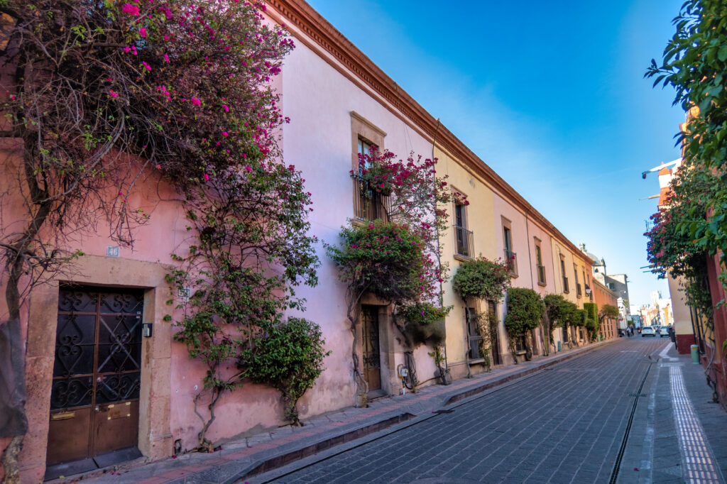 rustic-street-with-windows-and-bougainvillea-flowe-2023-11-27-05-15-26-utc
